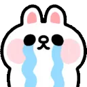 mmexporte26560808f76e8e40cecdd49