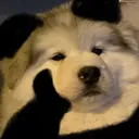 mmexport1690615407595