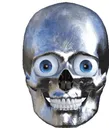 skull1