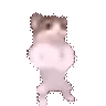 catdance