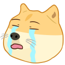DogePls Discord emoji