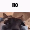 no