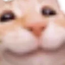 Chatcontent
