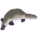 Platakkar Discord emoji