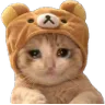5catbearsad Discord Emoji