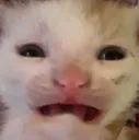 Aughguhgh
