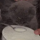 sips