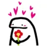 ccflork10 ccflork10