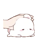 Bunny_23 Bunny_23