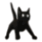1801spinningcat