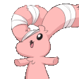 6026bunnycrazy