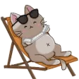 vSelfCareCat_magicalDNS Discord Emoji