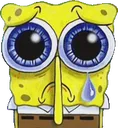 sadsponge
