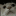 :ModCheckCat: