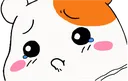 Hamsadpout