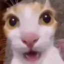 horror