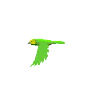 bird2