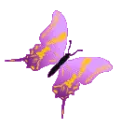 butterfly1