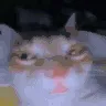 suh