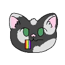 Gay Cat GayCat Discord Emoji