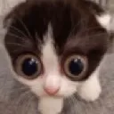 MONKA