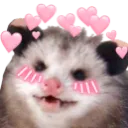 opossum_love