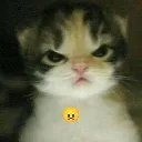 AnGeRy_pb AnGeRy_pb