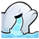 dolphincry