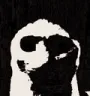 void