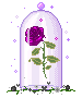 Purple Rose Discord Emoji