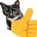 catthumbsup