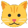 FelineFacialChange