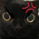 Angycat AngyCat Discord Emoji