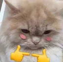 Cat_blush_1