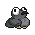 pigeon pigeon