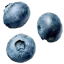Blueberries blueberries Discord Emoji