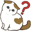 catconfused catconfused