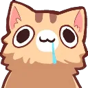 Cat Dumb Discord Emoji