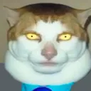 hot_cat