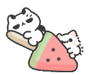 WCatMelon Discord Emoji
