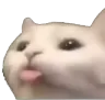 CatBleh CatBleh