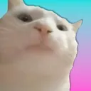 Vibing Cat vibing_cat Discord Emoji