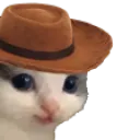 Meowdypardner