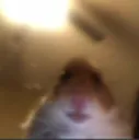 queso