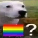 Gay_