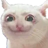 happyCat