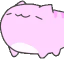 pinknod