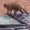 jump