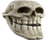 trollskull