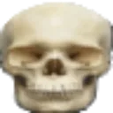 skull